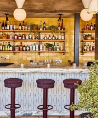 New Restaurants and Bars in New York City