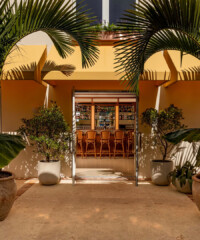 Our Favorite New Restaurants in Palm Beach