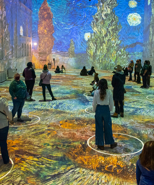 Houston Art Gallery Guide
