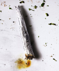 Inside the Surprisingly Sober World of the Pot Lobby
