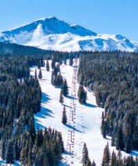 Free for All: Dispatch from the 2024 Dew Tour