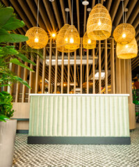 Palm Beach Openings