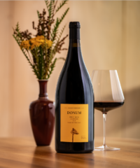 The Best Wines For The Fall Season